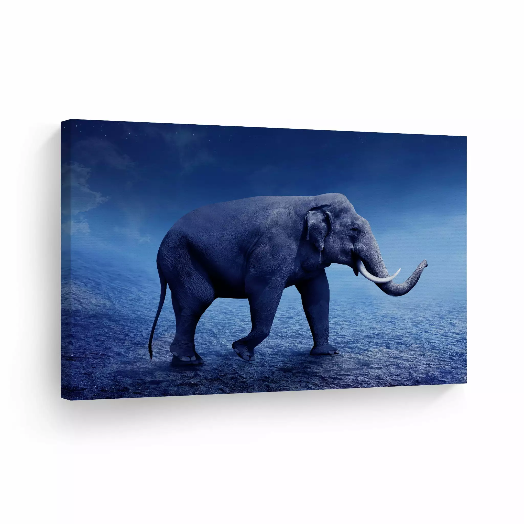 Smile Art Design Sumatran Elephant Walking in Desert at Night Wild Animal Canvas Wall Art Print Nature African Safari Exotic Wildlife Living Room Kids Baby Nursery Room Decor Ready to Hang - 8x12