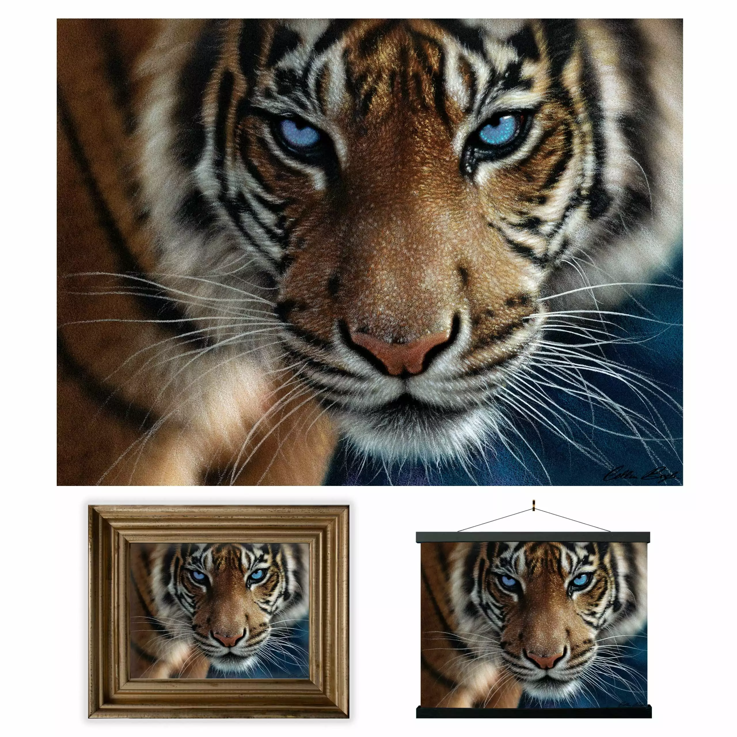 3D LiveLife Lenticular Wall Art Prints - Blue Eyes from Deluxebase. Unframed 3D Tiger Poster. Perfect wall decor. Original artwork licensed from renowned artist. Steve Sundram