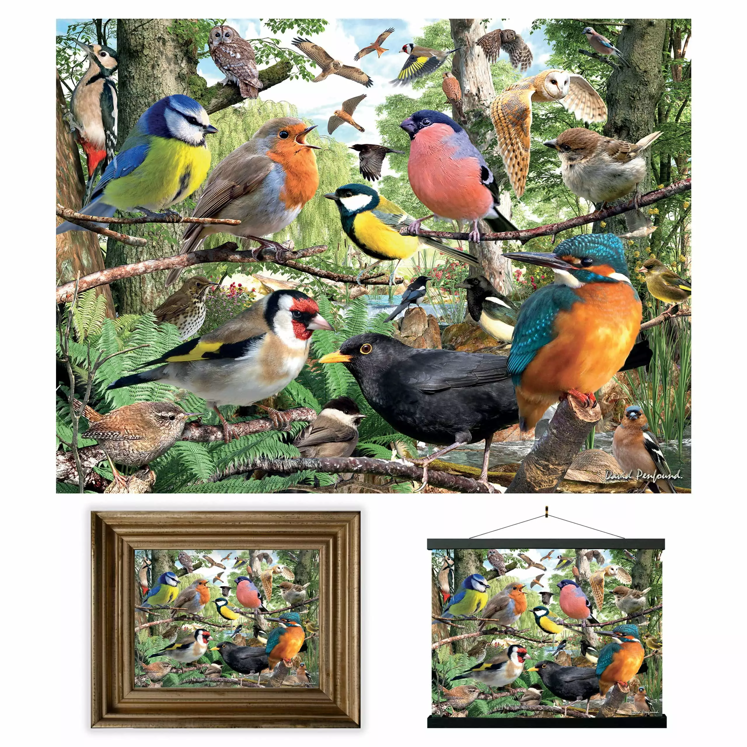 3D LiveLife Lenticular Wall Art Prints - Nature's home from Deluxebase. Unframed 3D Bird Poster. Perfect wall decor. Original artwork licensed from renowned artist. David Penfound