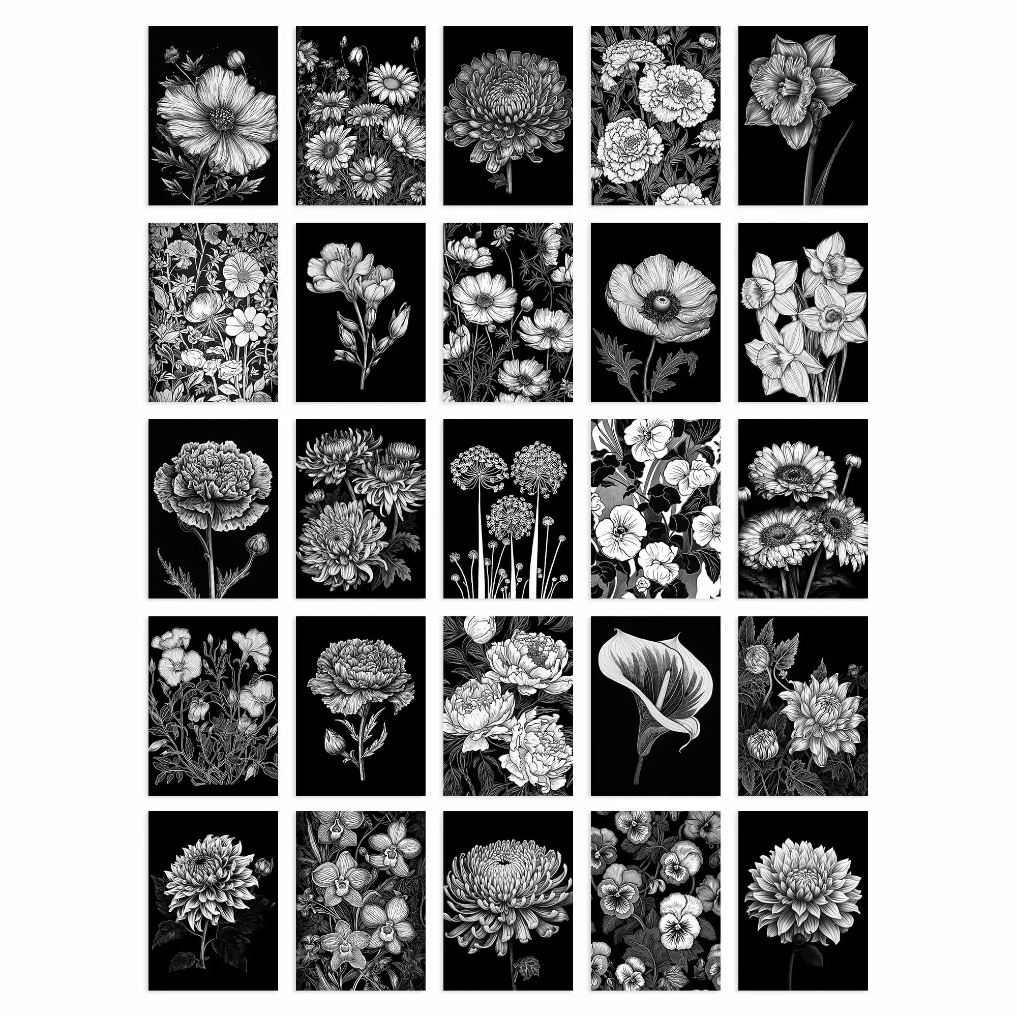 50 Pcs Flower Floral Aesthetic Black White Collage Kit Wall Art Prints A6 Set Pack 15x10 cm (6x4) Wall Home Student Boy Girl Teen Room Elegant