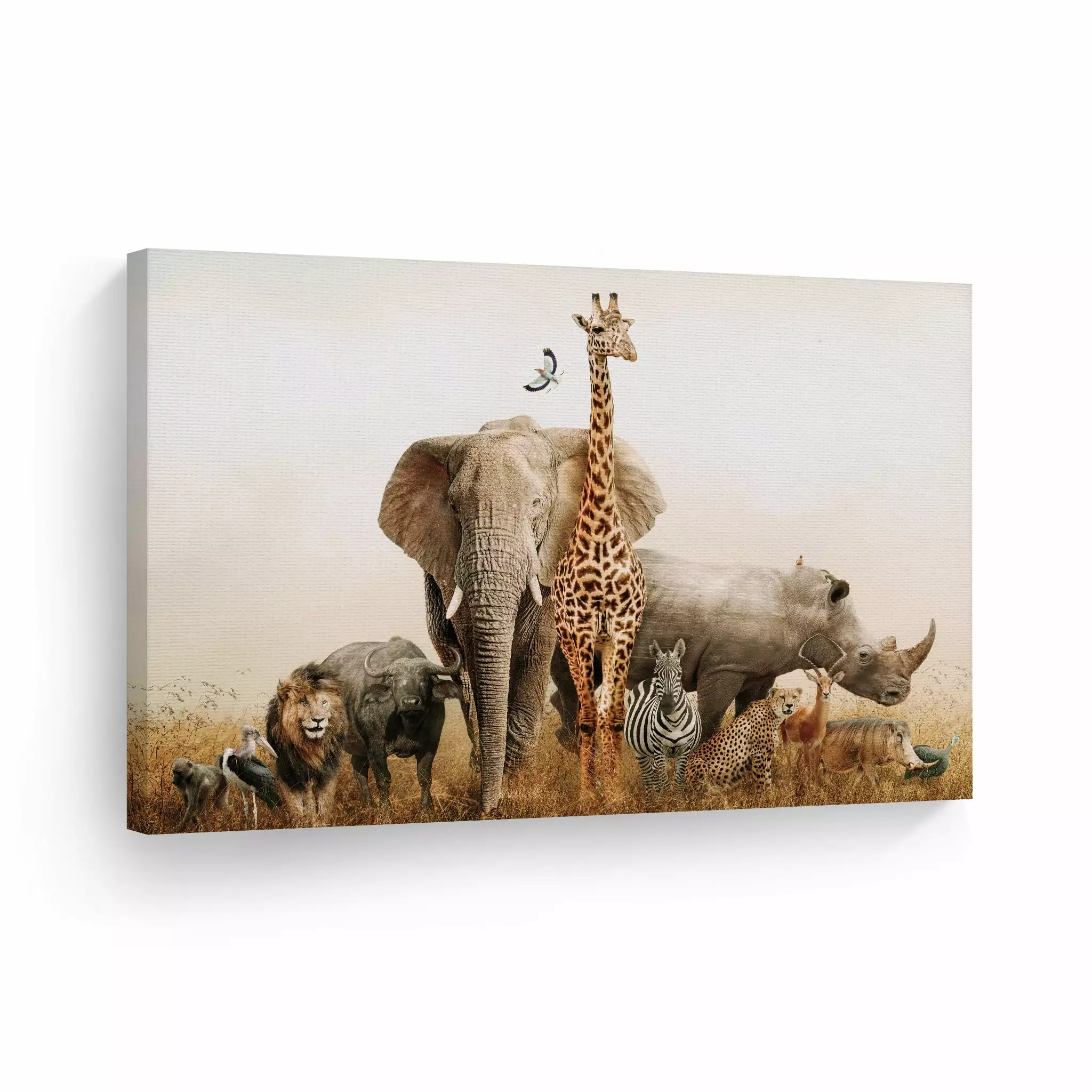 Smile Art Design Safari Animals African Landscape Elephant Giraffe Lion Zebra Wild Animal Canvas Wall Art Print Nature Exotic Wildlife Living Room Kids Baby Nursery Room Decor - 30x40