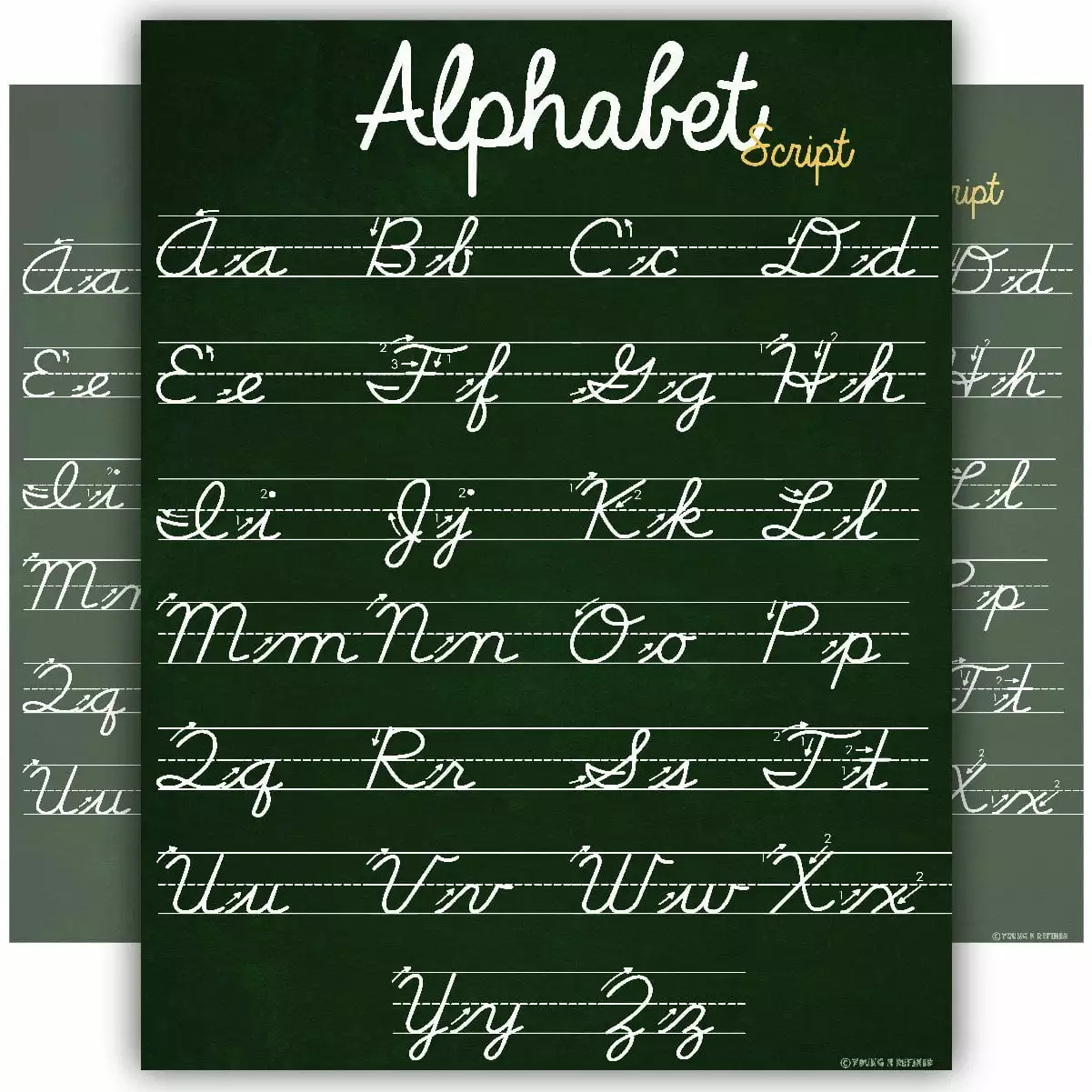 ABC Cursive Script Alphabet poster SIZE SMALL chart LAMINATED teaching classroom decoration Young N Refined