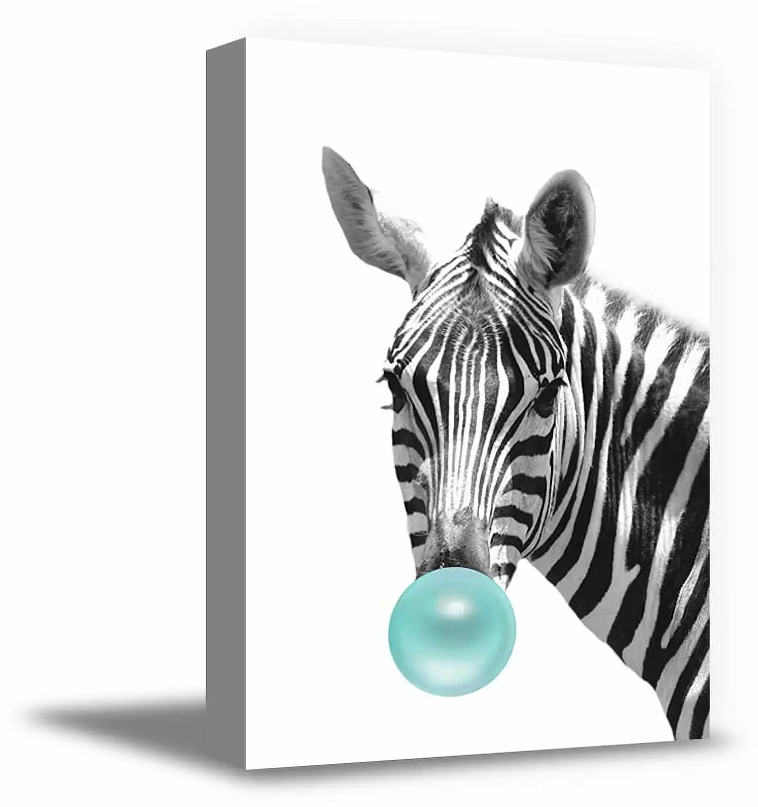 Awkward Styles Zebra Chewing Blue Bubble Gum Animal Canvas Wall Art Digital Collage for Room Decor Lovely Zebra Canvas Photo Artwork Blue Gum Animal Gift Made in USA Fine Art Print Animal Printed Art