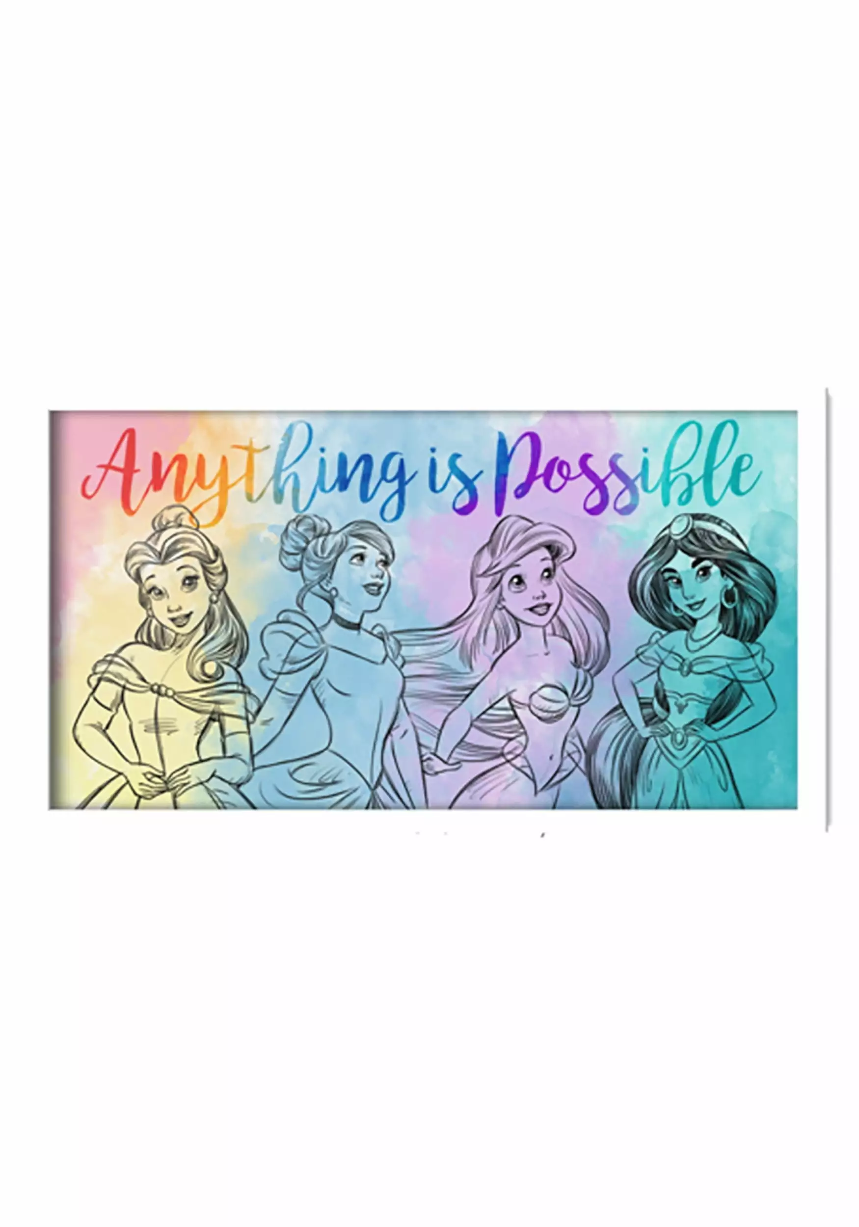 Disney Princess Anything Is Possible Wooden Hanging Wall Art | 10 x 18 Inches