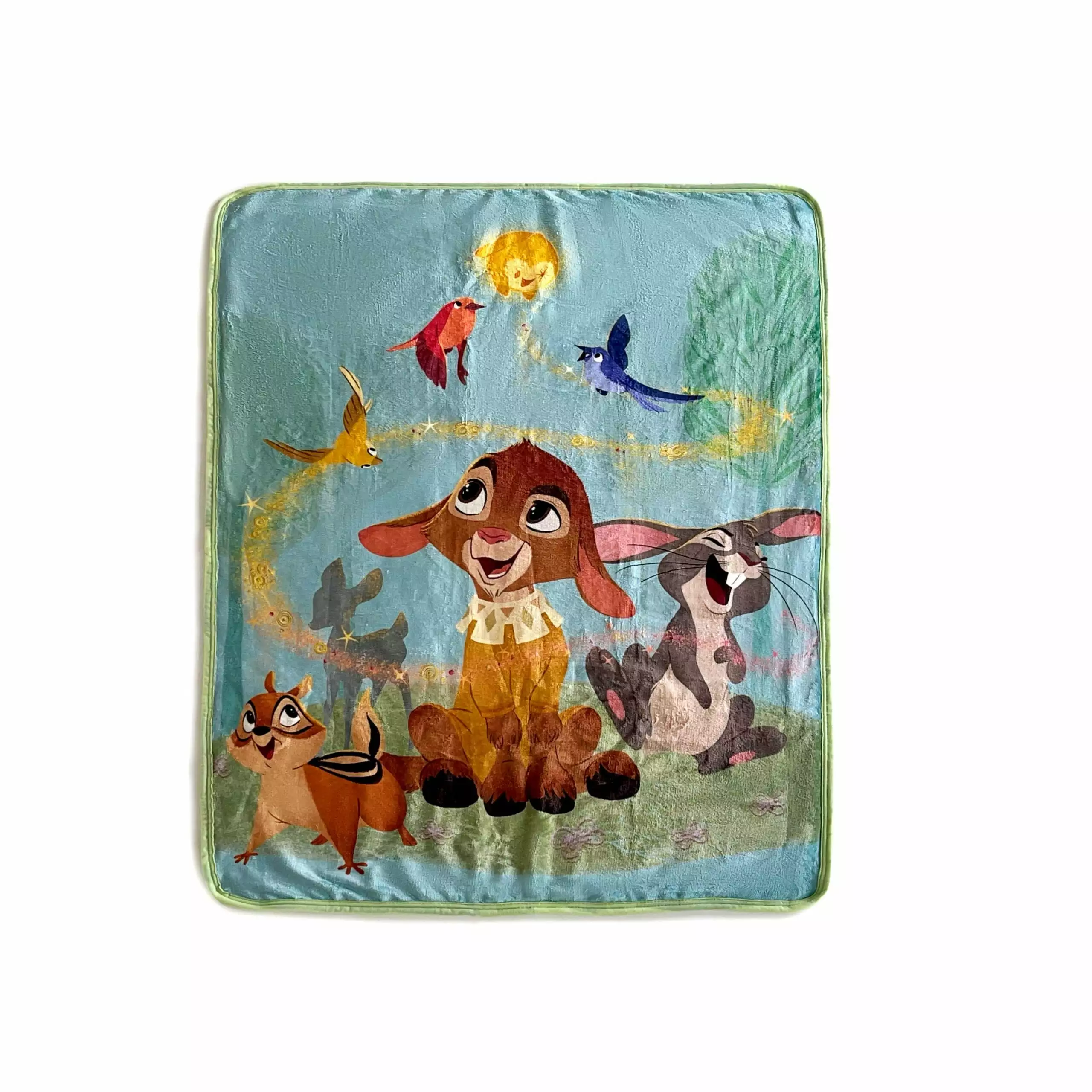 Disney Wish My Friends Silk Touch Sherpa Throw Blanket