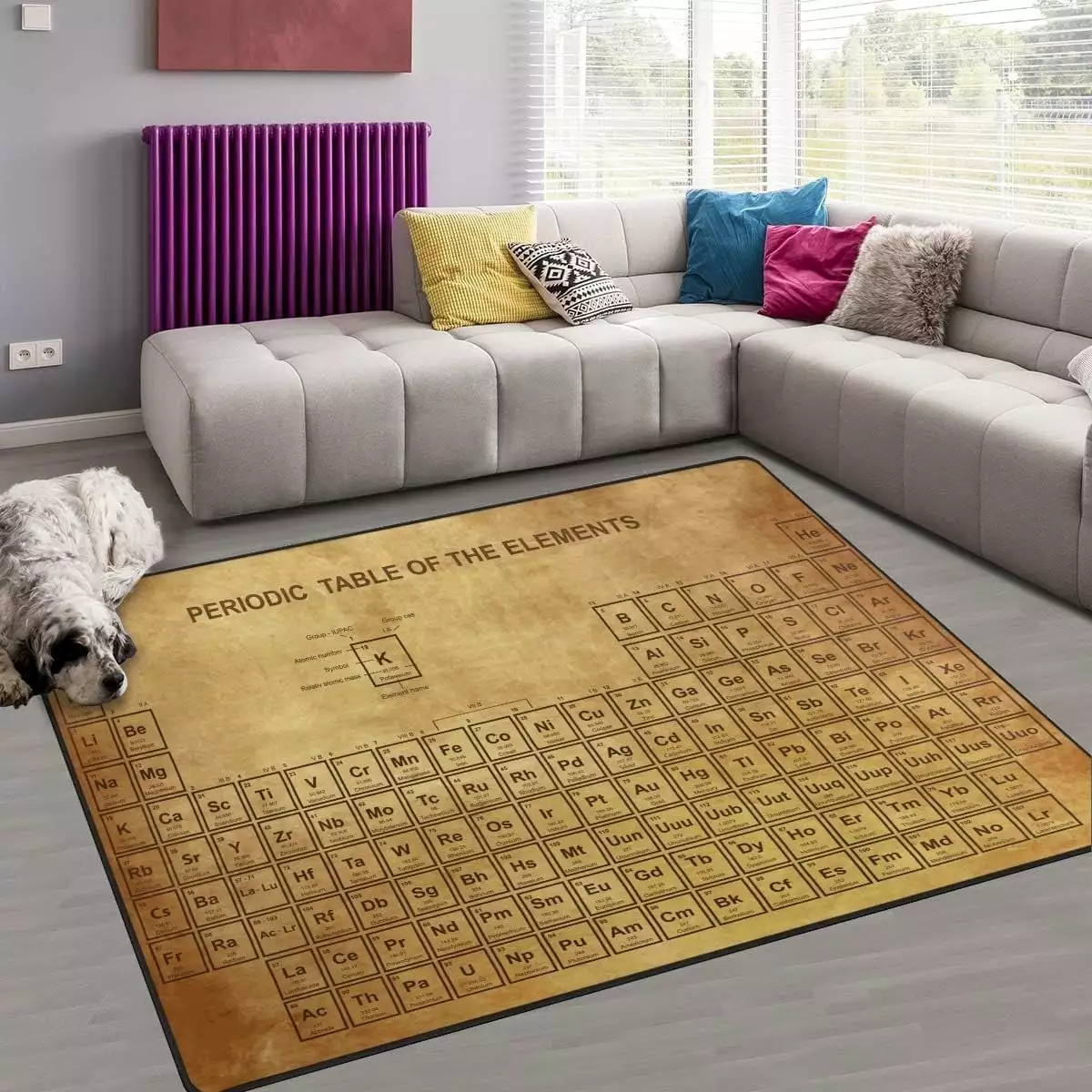 FREEAM Education Educational Area Rug 48x63. Periodic Table of Elements Polyester Area Rug Mat for Living Dining Dorm Room Bedroom Home Decorative