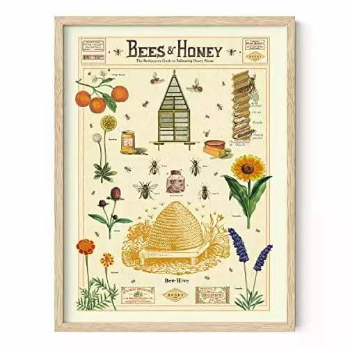 HAUS AND HUES Honey Bee Decor Cavallini Poster - Bee Wall Decor Vintage Posters for Room Aesthetic Prints and Posters Vintage Prints and Plant Posters Follygraph Fleurs Vintage (Beige Framed. 12x16)