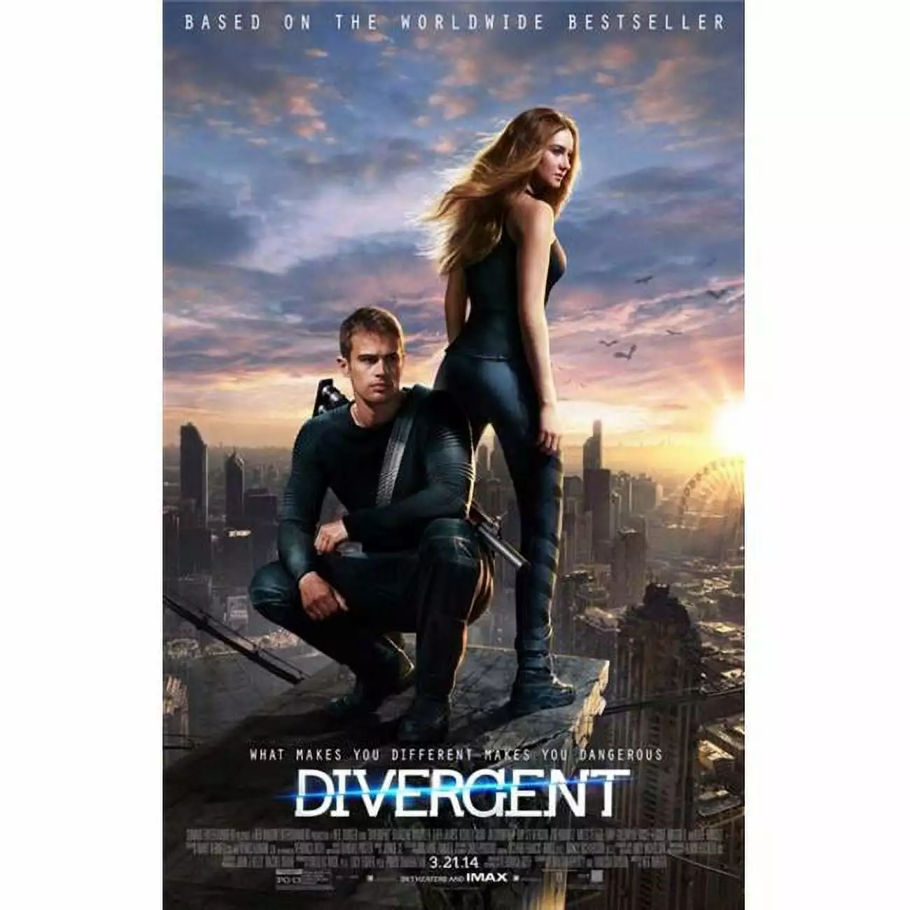 Pop Culture Graphics MOVIB63935 Divergent Movie Poster. 11 x 17