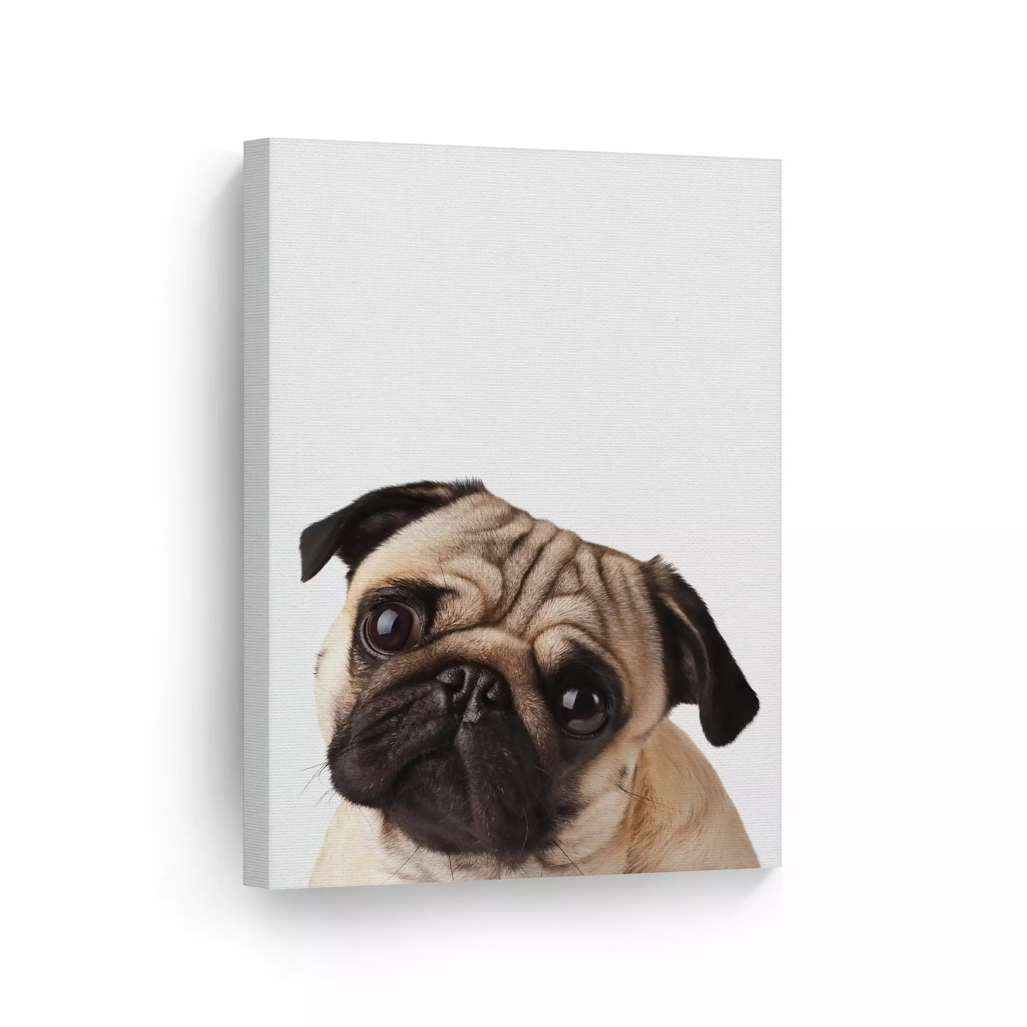 Smile Art Design Portrait of Cute Pug Dog Animal Canvas Wall Art Print Pet Owner Dog Lover Mom Dad Gift Office Living Room Bedroom Bathroom Kids Baby Nursery Room Decor Ready to Hang - 12x8