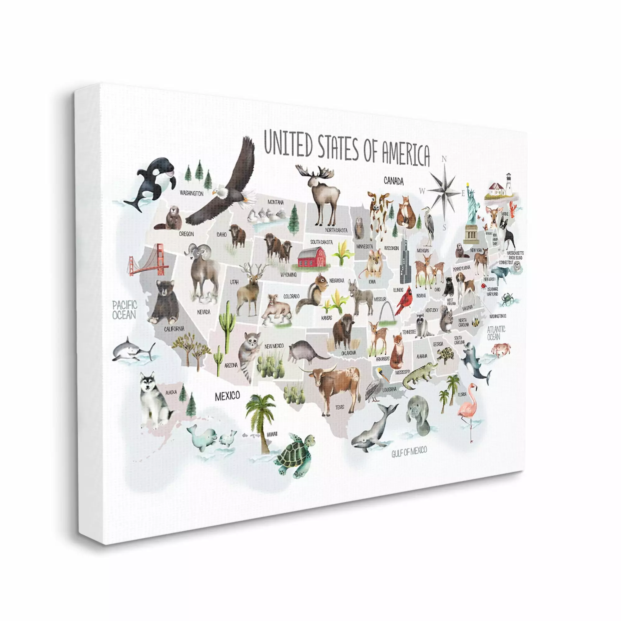 Stupell Industries United States of America Map of Animals Kid's Illustration. 30 x 40. Designed by Studio Q