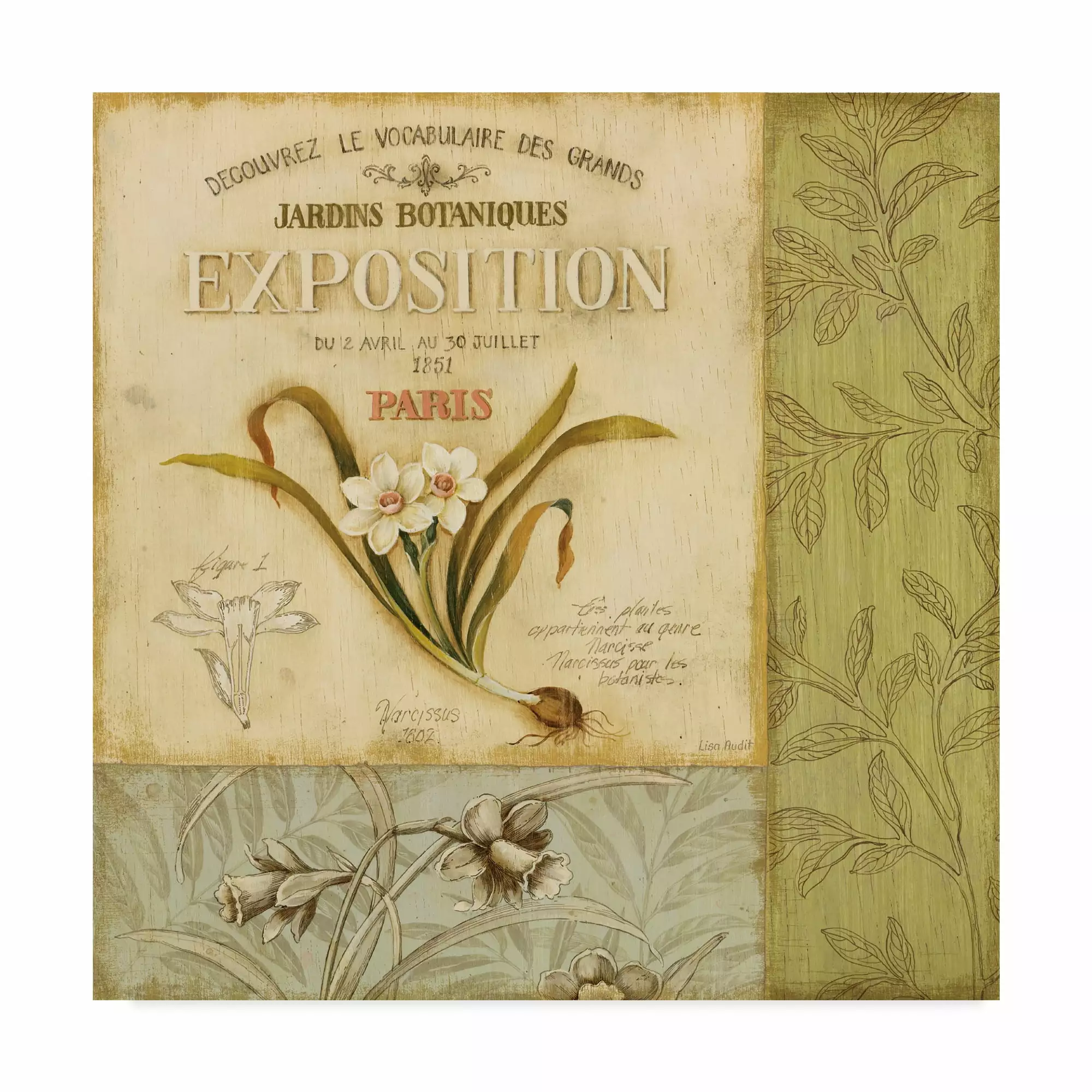 Trademark Fine Art 'Botanical Exhibit II' Canvas Art by Lisa Audit