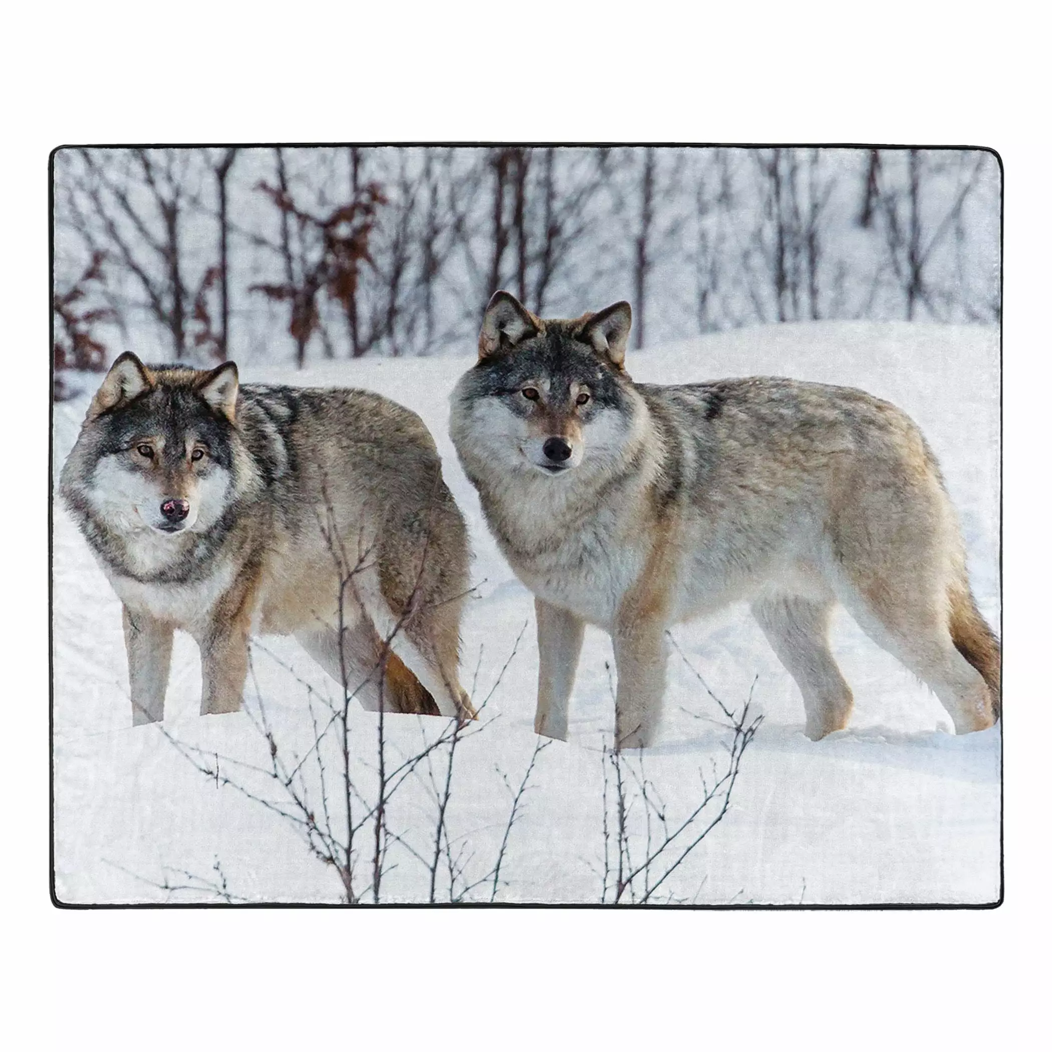 Winter Wolves Raschel Throw Blanket. 50 x 60 inches