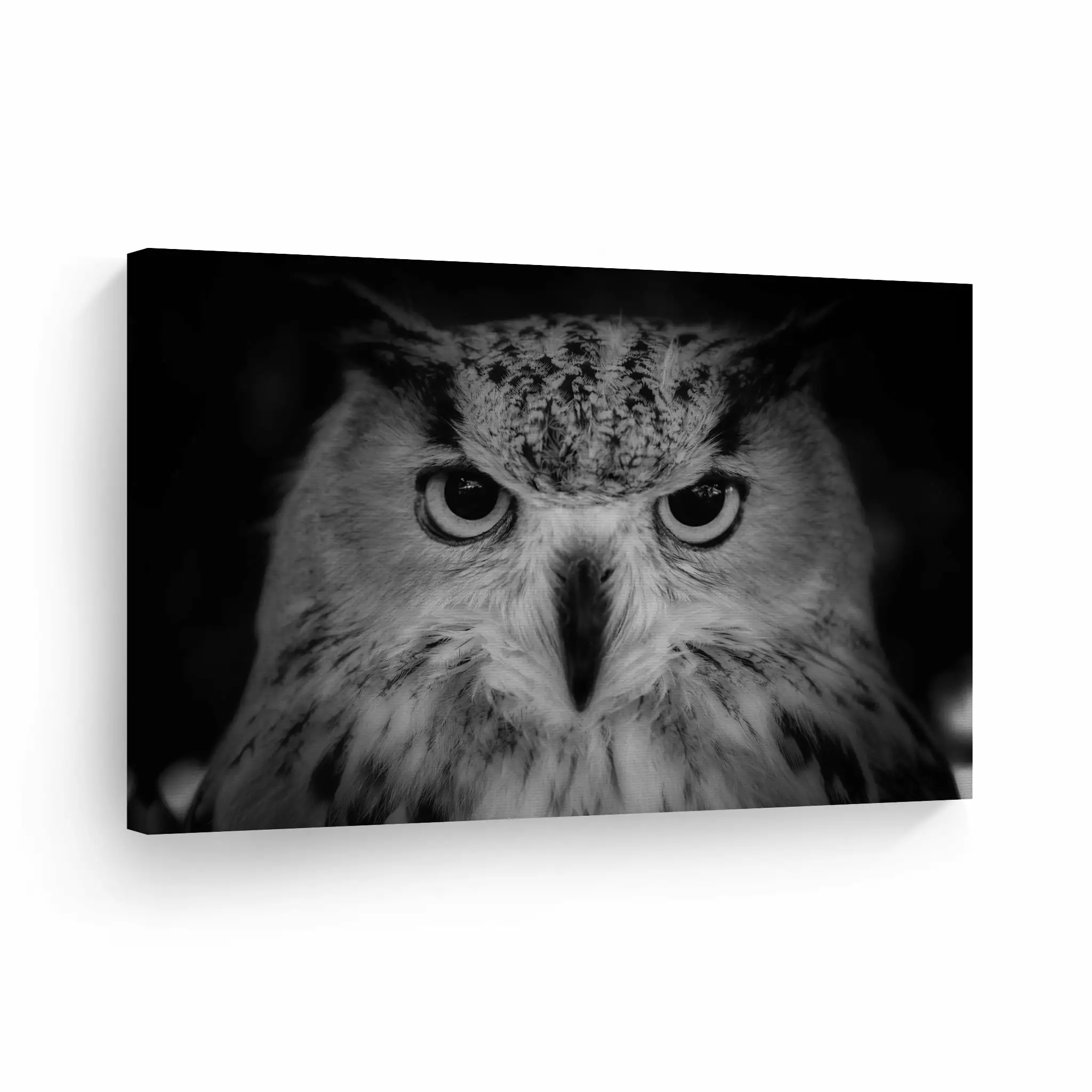 Smile Art Design Owl in the Night Black and White Portrait Wild Animal Canvas Wall Art Print Nature Safari Exotic Wildlife Office Living Room Bedroom Bathroom Kids Room Decor Ready to Hang - 8x12